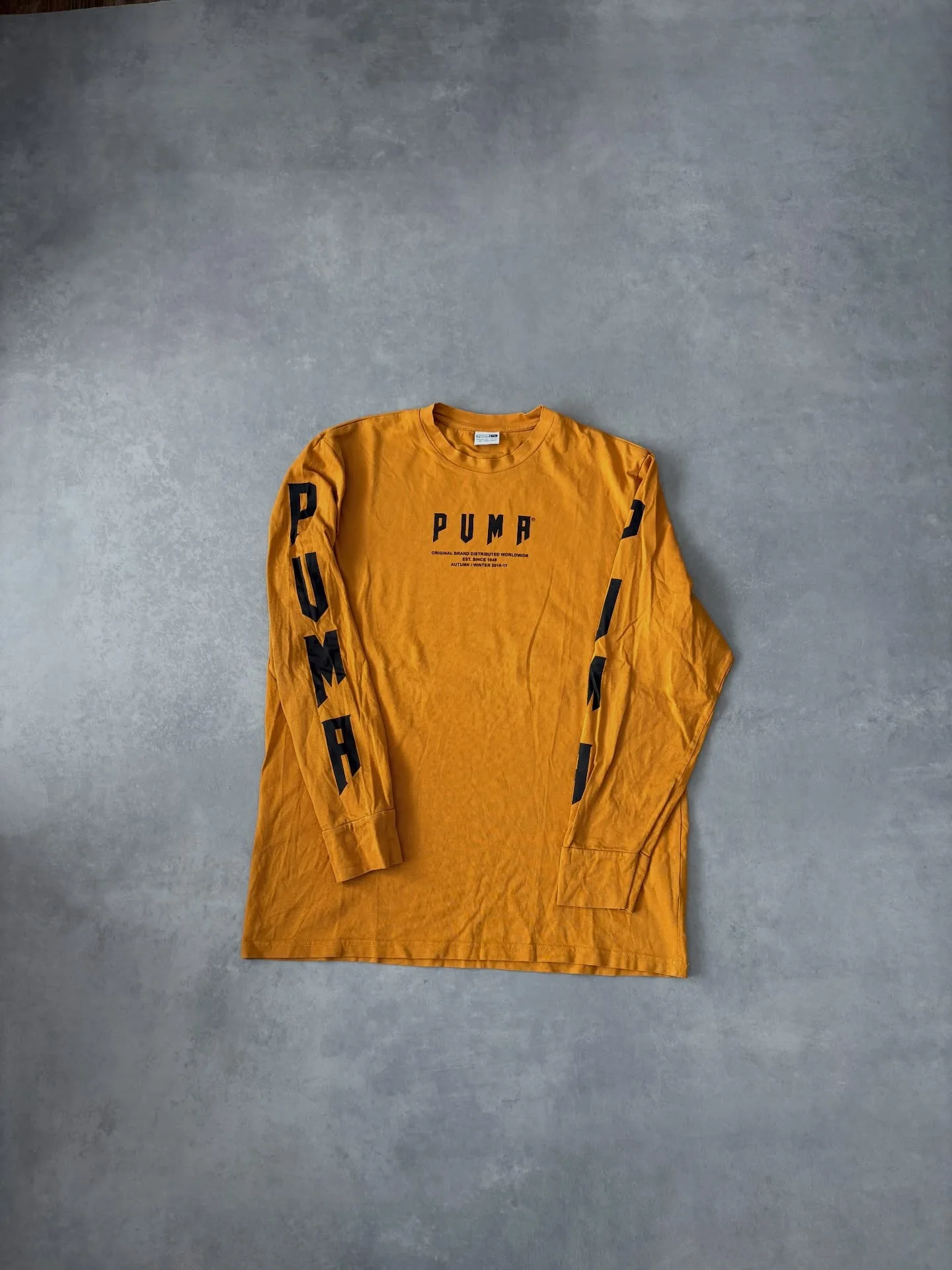 Puma L